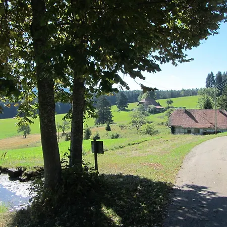 Krahrbauernhof Im Schwarzwald Apartman