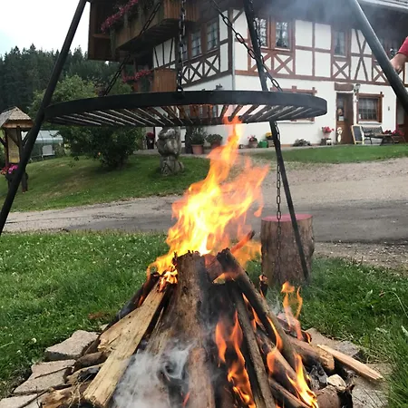 Apartman Krahrbauernhof Im Schwarzwald Hornberg